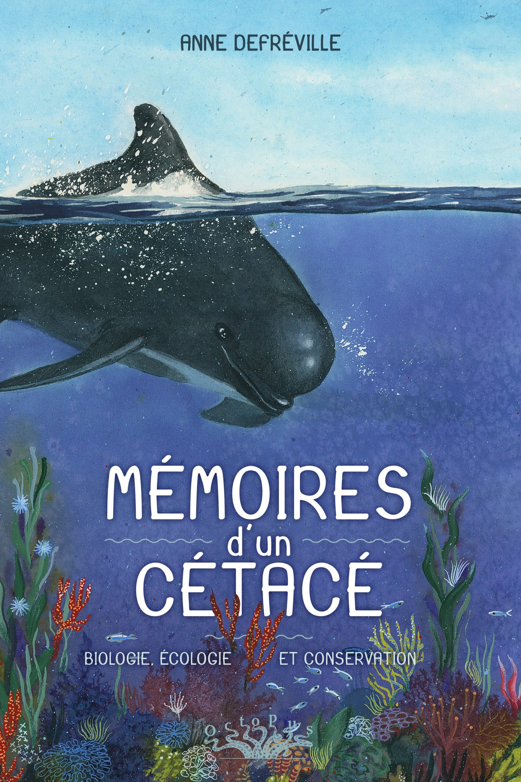 MEMOIRES D'UN CETACE C1-min